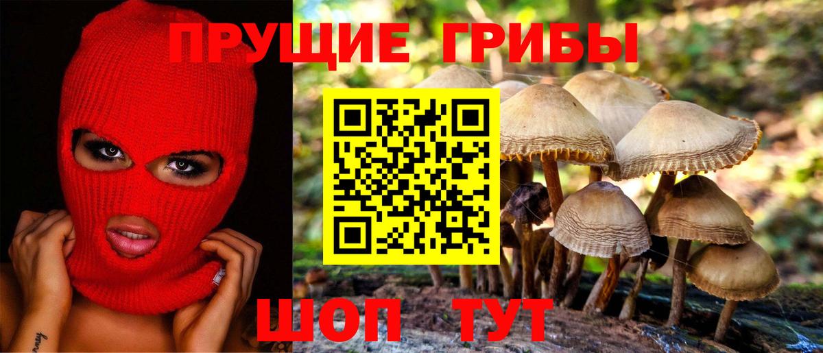 Славянск-на-Кубани  Псилоцибиновые грибы Cubensis  Вход с VPN 